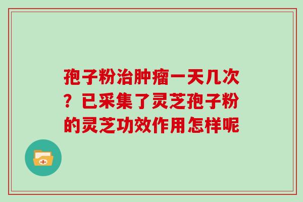 孢子粉一天几次？已采集了灵芝孢子粉的灵芝功效作用怎样呢