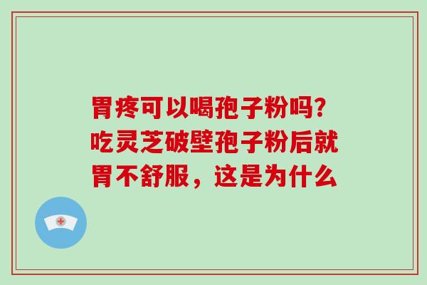 胃疼可以喝孢子粉吗？吃灵芝破壁孢子粉后就胃不舒服，这是为什么