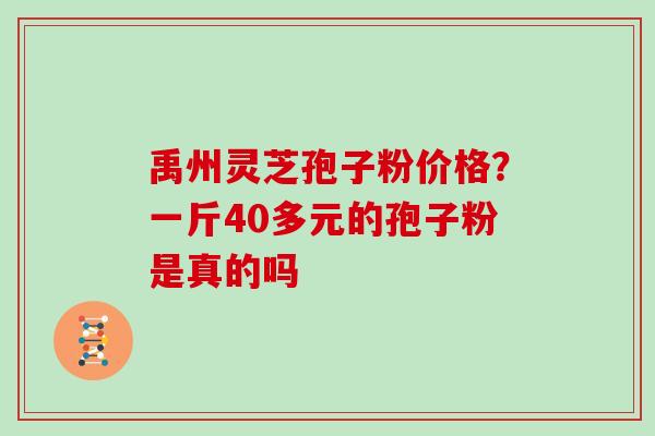 禹州灵芝孢子粉价格？一斤40多元的孢子粉是真的吗