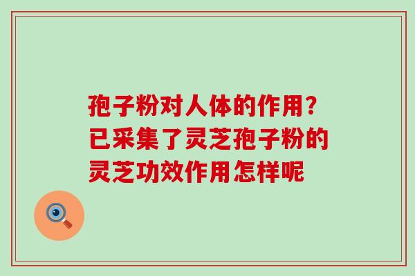 孢子粉对人体的作用？已采集了灵芝孢子粉的灵芝功效作用怎样呢