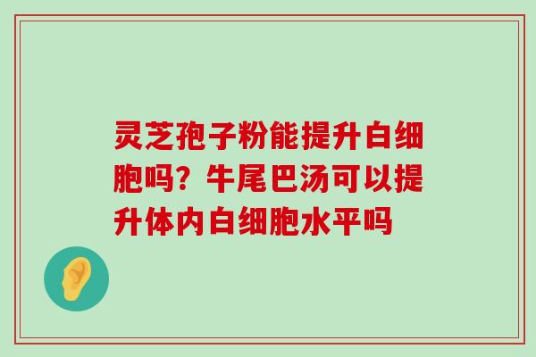 灵芝孢子粉能提升吗？牛尾巴汤可以提升体内水平吗