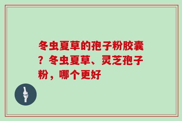 冬虫夏草的孢子粉胶囊？冬虫夏草、灵芝孢子粉，哪个更好