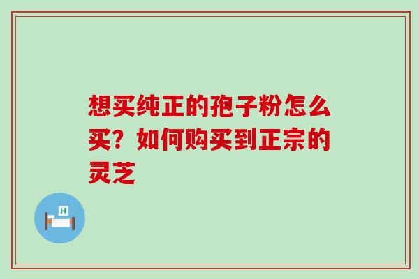 想买纯正的孢子粉怎么买？如何购买到正宗的灵芝