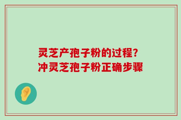 灵芝产孢子粉的过程？冲灵芝孢子粉正确步骤