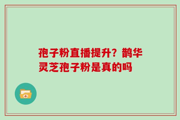 孢子粉直播提升？鹊华灵芝孢子粉是真的吗