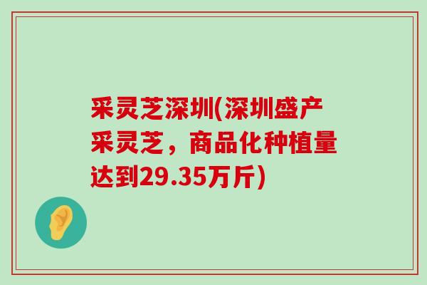 采灵芝深圳(深圳盛产采灵芝，商品化种植量达到29.35万斤)