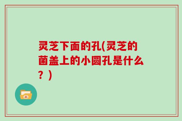 灵芝下面的孔(灵芝的菌盖上的小圆孔是什么？)