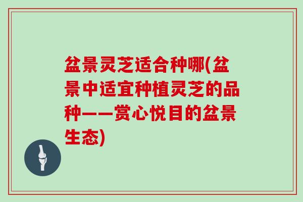 盆景灵芝适合种哪(盆景中适宜种植灵芝的品种——赏心悦目的盆景生态)