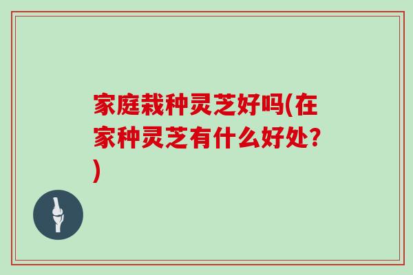 家庭栽种灵芝好吗(在家种灵芝有什么好处？)