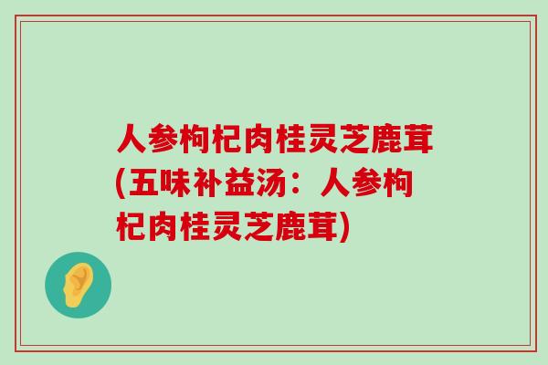 人参枸杞肉桂灵芝鹿茸(五味补益汤：人参枸杞肉桂灵芝鹿茸)