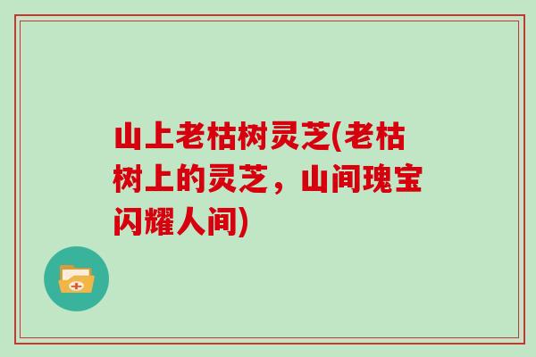 山上老枯树灵芝(老枯树上的灵芝，山间瑰宝闪耀人间)