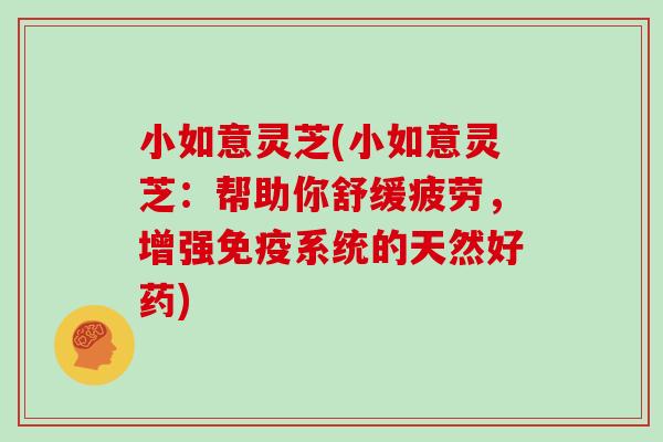 小如意灵芝(小如意灵芝：帮助你舒缓疲劳，增强免疫系统的天然好药)