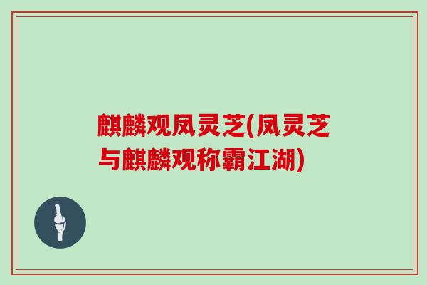 麒麟观凤灵芝(凤灵芝与麒麟观称霸江湖)