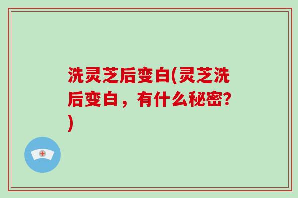 洗灵芝后变白(灵芝洗后变白，有什么秘密？)