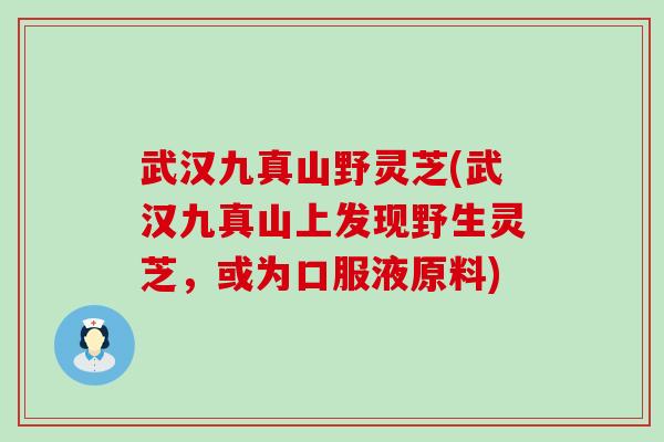 武汉九真山野灵芝(武汉九真山上发现野生灵芝，或为口服液原料)