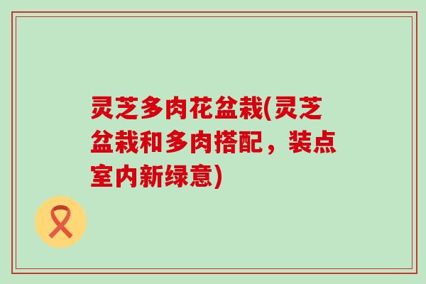 灵芝多肉花盆栽(灵芝盆栽和多肉搭配，装点室内新绿意)