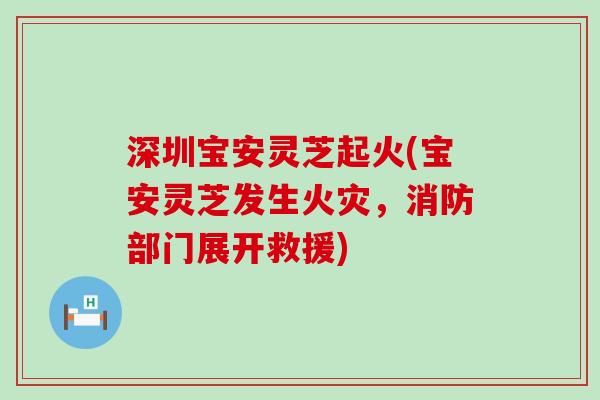 深圳宝安灵芝起火(宝安灵芝发生火灾，消防部门展开救援)