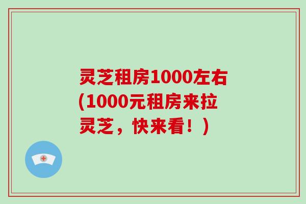 灵芝租房1000左右(1000元租房来拉灵芝，快来看！)