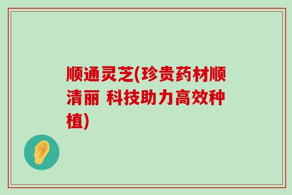 顺通灵芝(珍贵药材顺清丽 科技助力高效种植)