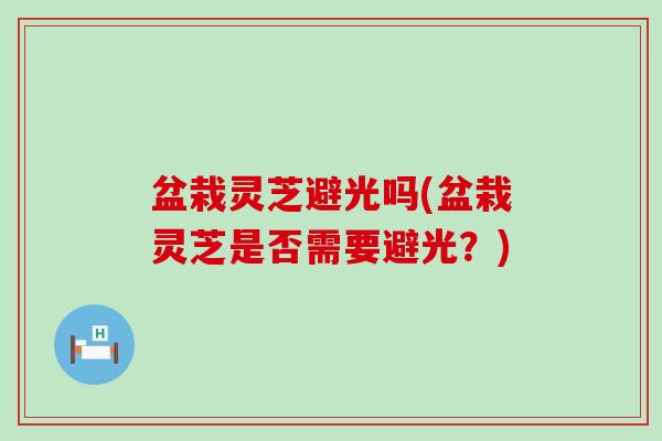 盆栽灵芝避光吗(盆栽灵芝是否需要避光？)