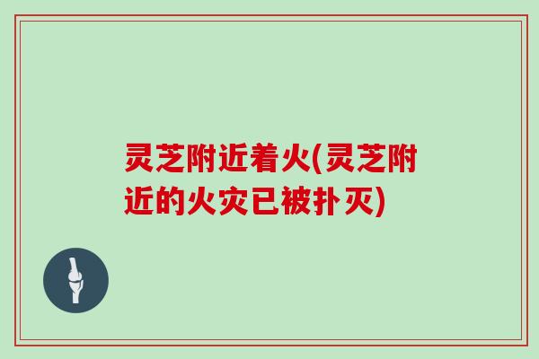 灵芝附近着火(灵芝附近的火灾已被扑灭)