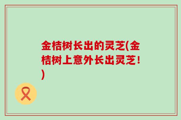 金桔树长出的灵芝(金桔树上意外长出灵芝！)