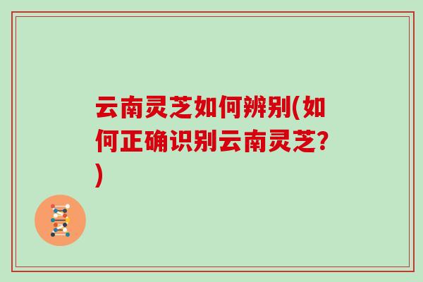 云南灵芝如何辨别(如何正确识别云南灵芝？)