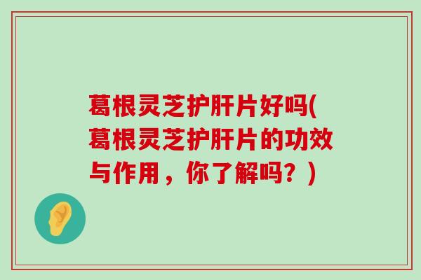 葛根灵芝片好吗(葛根灵芝片的功效与作用，你了解吗？)