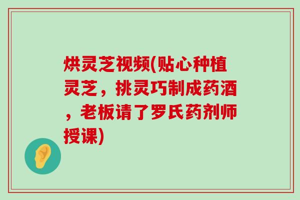 烘灵芝视频(贴心种植灵芝，挑灵巧制成药酒，老板请了罗氏药剂师授课)