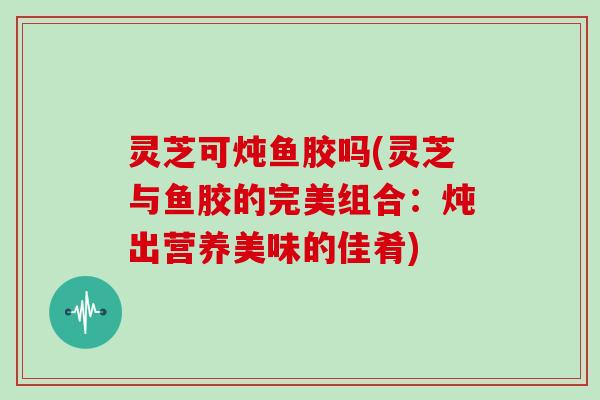 灵芝可炖鱼胶吗(灵芝与鱼胶的完美组合：炖出营养美味的佳肴)