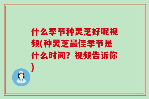 什么季节种灵芝好呢视频(种灵芝佳季节是什么时间？视频告诉你)