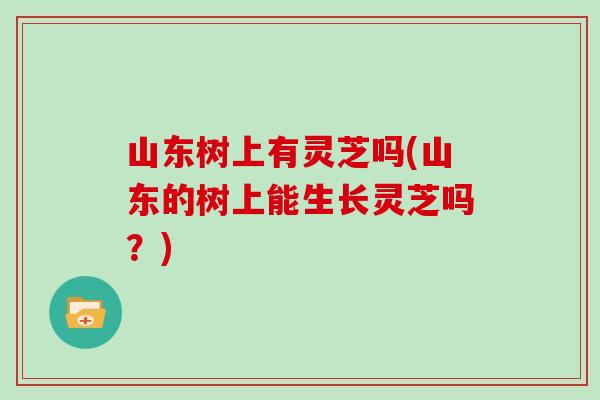 山东树上有灵芝吗(山东的树上能生长灵芝吗？)