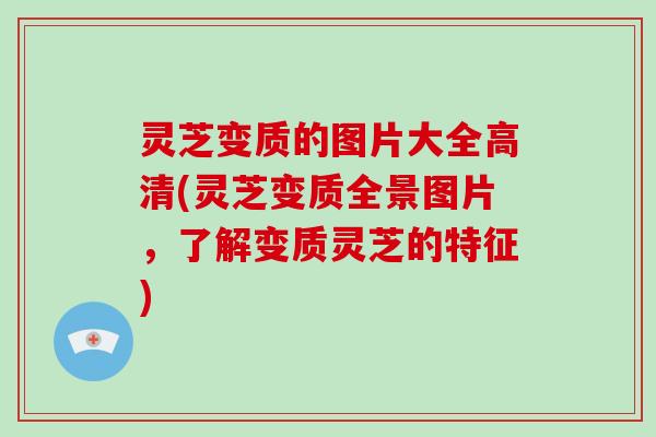 灵芝变质的图片大全高清(灵芝变质全景图片，了解变质灵芝的特征)