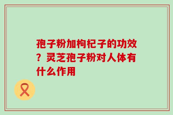 孢子粉加枸杞子的功效？灵芝孢子粉对人体有什么作用