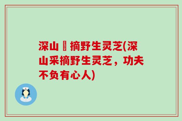 深山釆摘野生灵芝(深山采摘野生灵芝，功夫不负有心人)