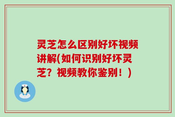 灵芝怎么区别好坏视频讲解(如何识别好坏灵芝？视频教你鉴别！)