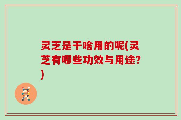 灵芝是干啥用的呢(灵芝有哪些功效与用途？)