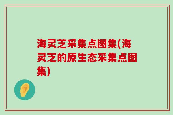 海灵芝采集点图集(海灵芝的原生态采集点图集)