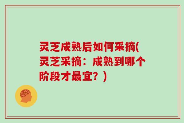 灵芝成熟后如何采摘(灵芝采摘：成熟到哪个阶段才宜？)