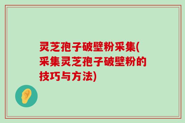 灵芝孢子破壁粉采集(采集灵芝孢子破壁粉的技巧与方法)