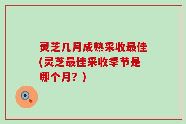 灵芝几月成熟采收佳(灵芝佳采收季节是哪个月？)