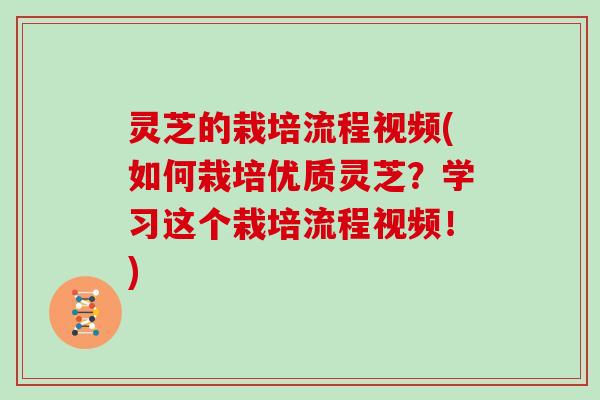 灵芝的栽培流程视频(如何栽培优质灵芝？学习这个栽培流程视频！)