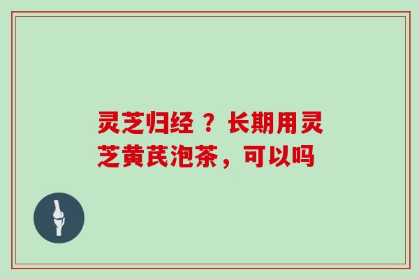 灵芝归经 ？长期用灵芝黄芪泡茶，可以吗