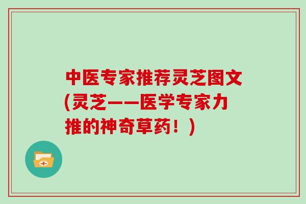 中医专家推荐灵芝图文(灵芝——医学专家力推的神奇草药！)