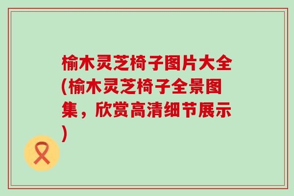 榆木灵芝椅子图片大全(榆木灵芝椅子全景图集，欣赏高清细节展示)