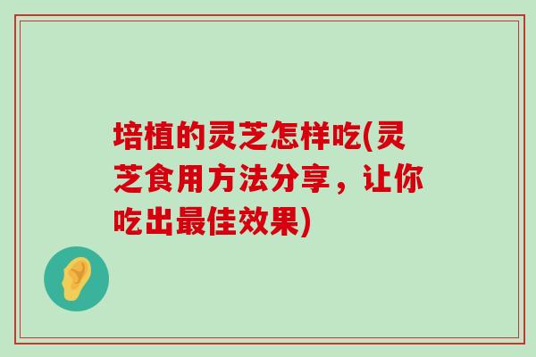 培植的灵芝怎样吃(灵芝食用方法分享，让你吃出佳效果)