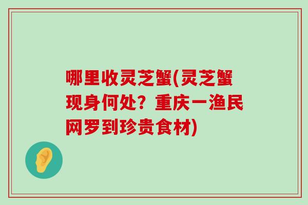 哪里收灵芝蟹(灵芝蟹现身何处？重庆一渔民网罗到珍贵食材)