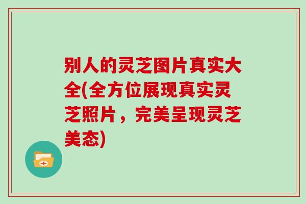 别人的灵芝图片真实大全(全方位展现真实灵芝照片，完美呈现灵芝美态)