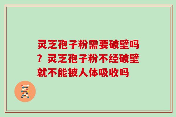 灵芝孢子粉需要破壁吗？灵芝孢子粉不经破壁就不能被人体吸收吗