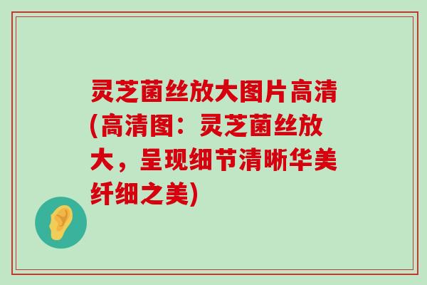 灵芝菌丝放大图片高清(高清图：灵芝菌丝放大，呈现细节清晰华美纤细之美)